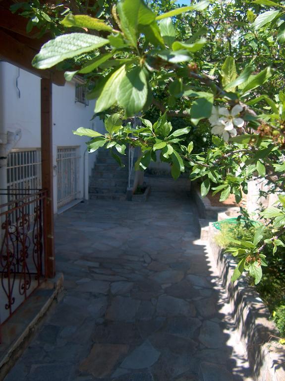 Athenian Spiti Villa Artemida  Room photo